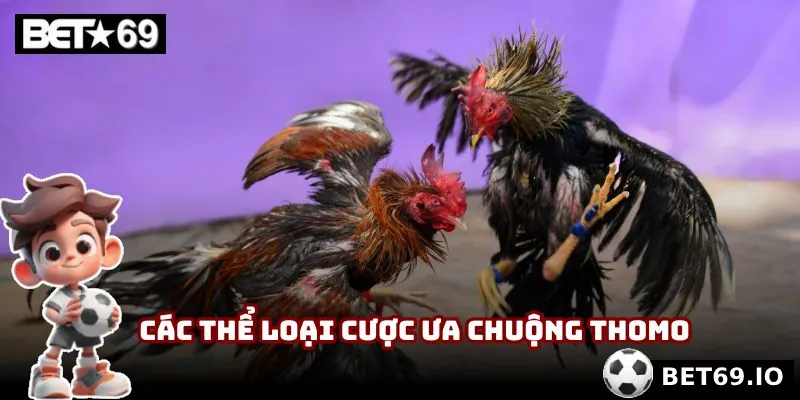 Đá gà Thomo | Tranh Tài Máu Lửa Từ Chiến Kê Lừng Danh 3 Các thể loại cược được ưa chuộng trong Thomo